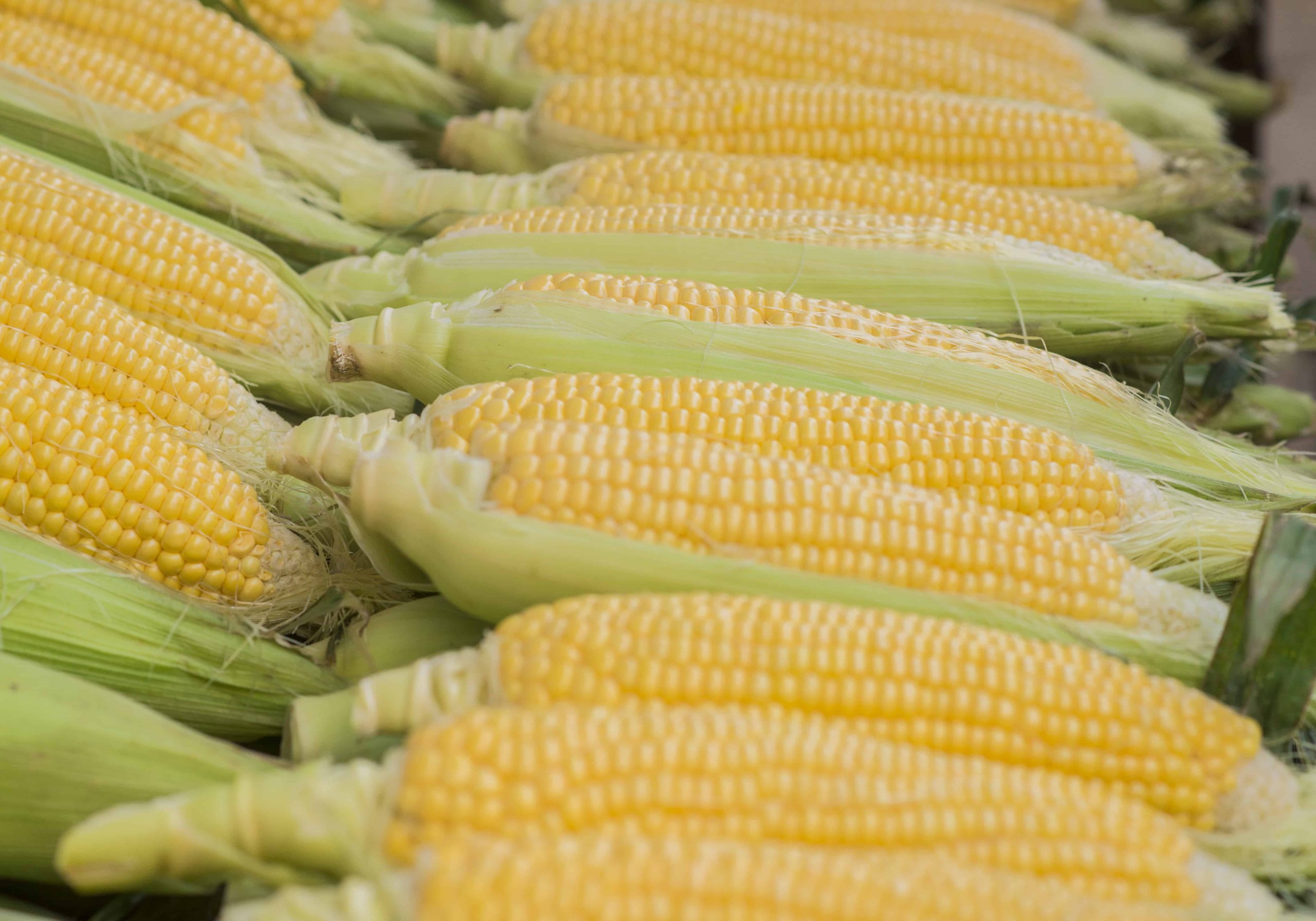 aranceles a productos agrícolas